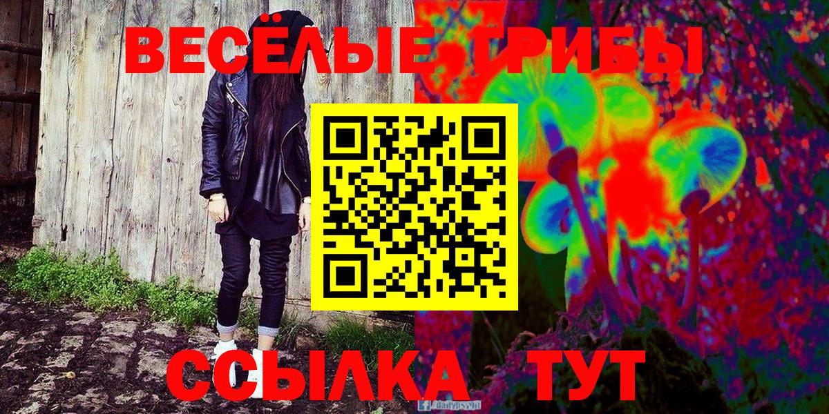 купить наркотик  Вход с VPN  Курск  Псилоцибиновые грибы Psilocybine cubensis 